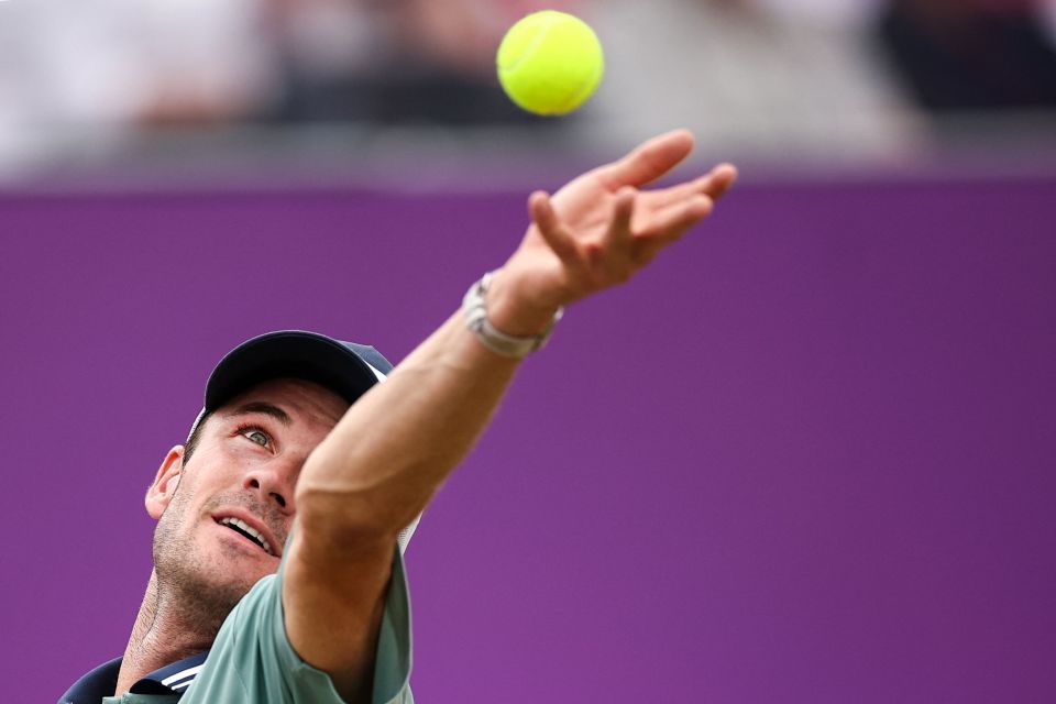 托雷作为一 托雷作为一