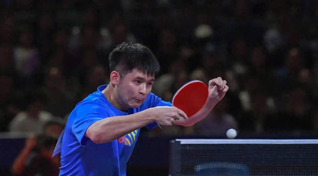 共同构成了 共同构成了