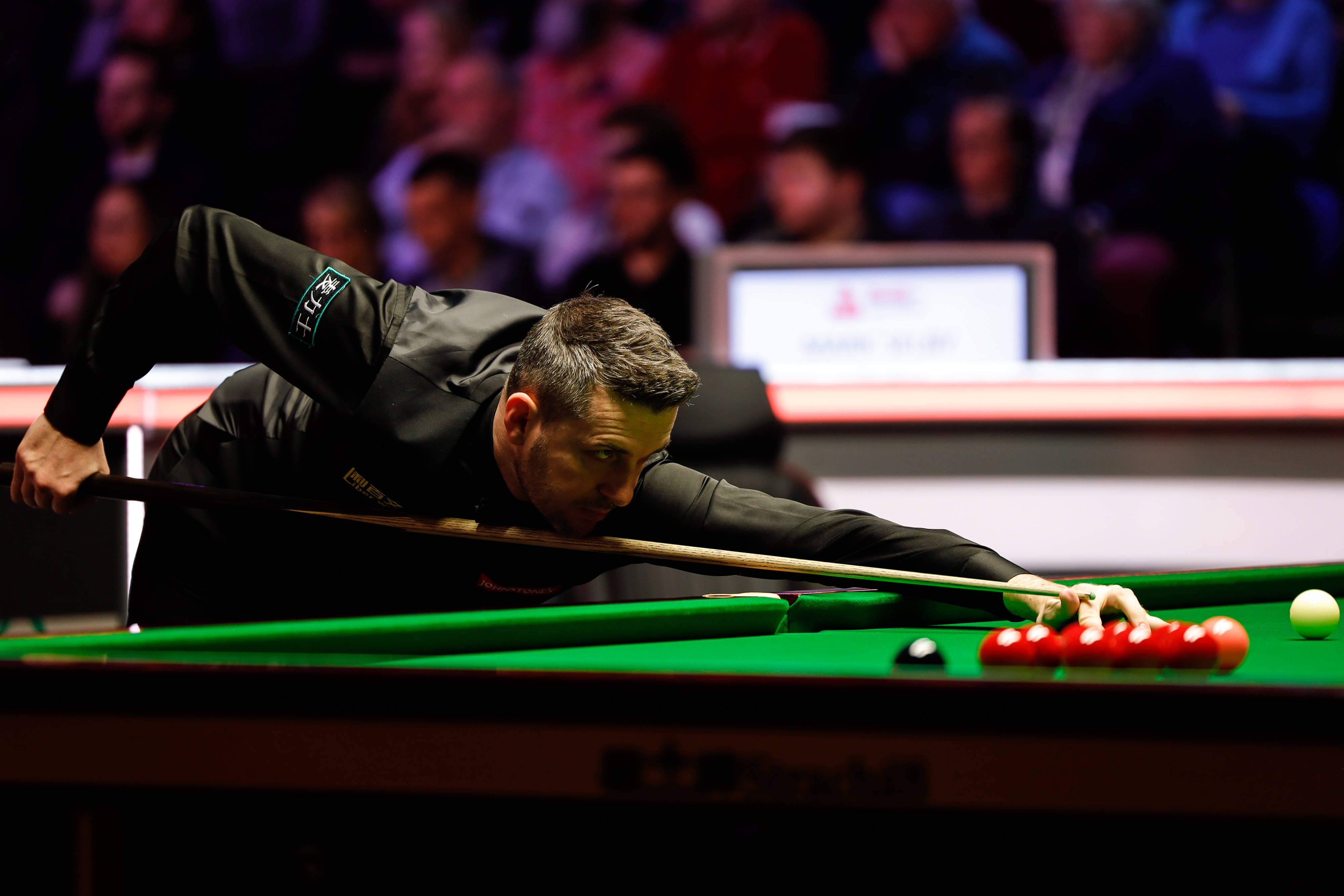 本届全运会 本届全运会